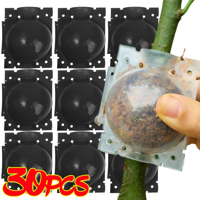 Plant Parents - Alat Cangkok Bola Perakaran Tanaman yang