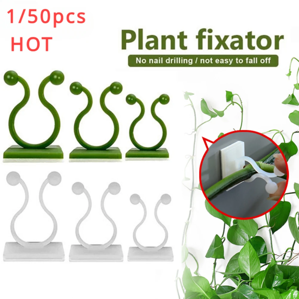 Plant Parents - 1/30/50 buah untuk pot taman &