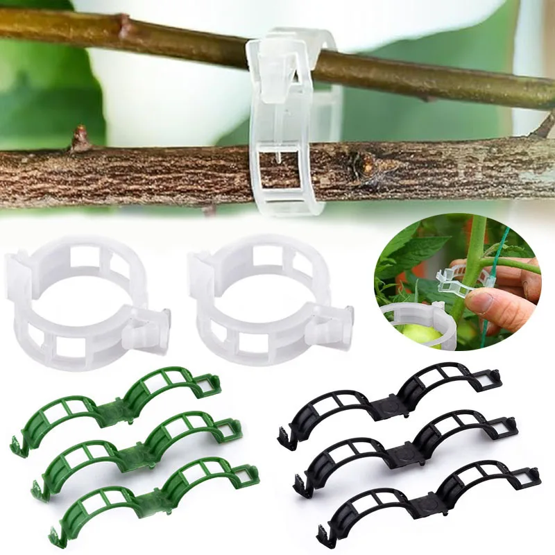 100 buah klip perbaikan tanama - Plant Parent Tools ulasan dan harga