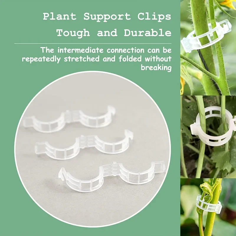 100 buah klip perbaikan tanama - Plant Parent Tools ulasan dan harga