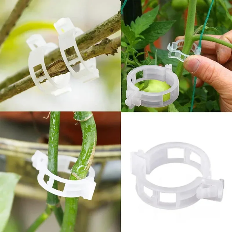 100 buah klip perbaikan tanama - Plant Parent Tools ulasan dan harga