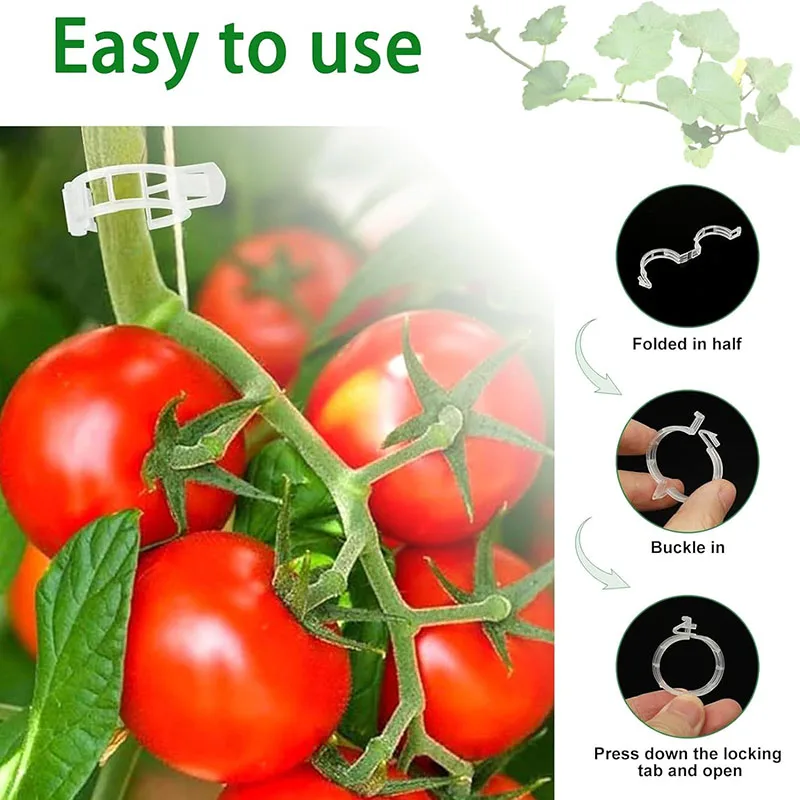 100 buah klip perbaikan tanama - Plant Parent Tools ulasan dan harga