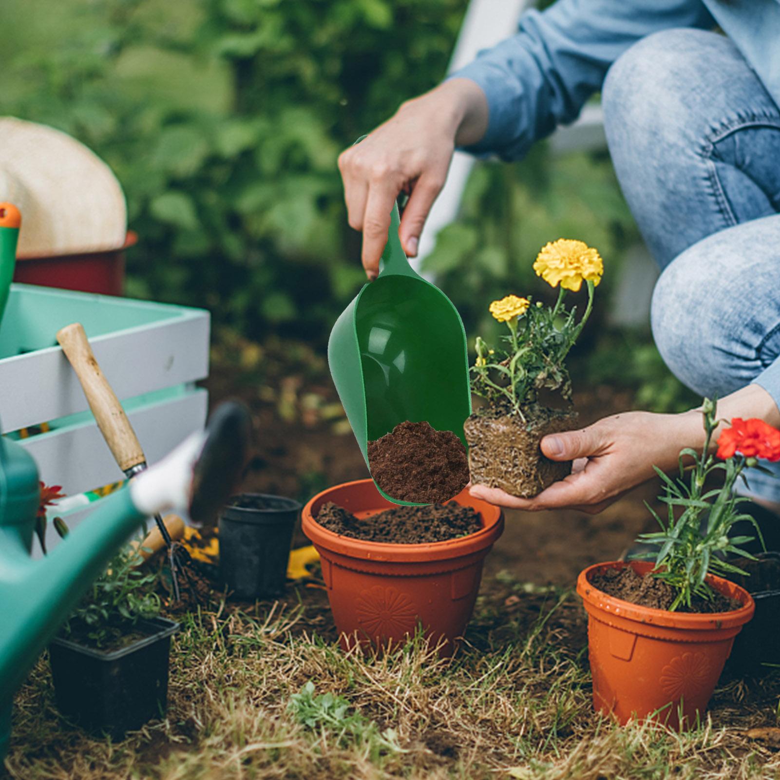 Sekop Berkebun, Sekop Tanah Ka - Plant Parent Tools ulasan dan harga