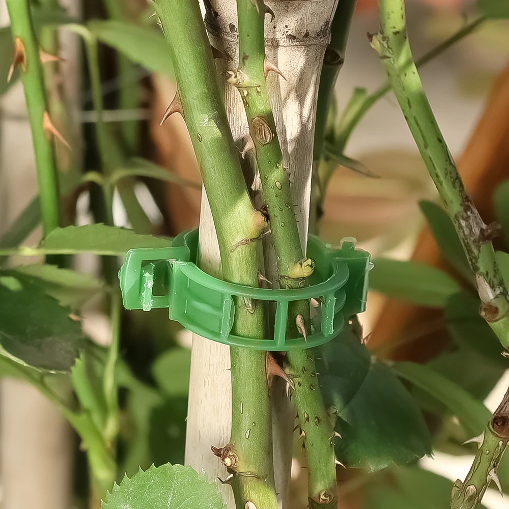 100/10PCS Klip Penyangga Tanam - Plant Parent Tools ulasan dan harga