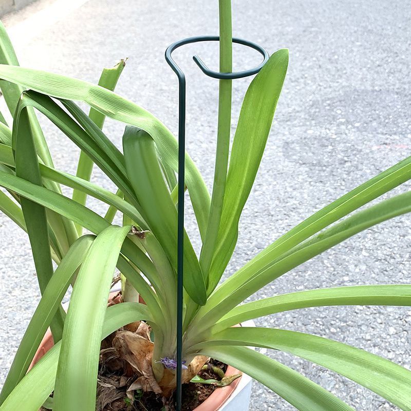 1-10 Buah Tempat Semak Tanaman - Plant Parent Tools ulasan dan harga