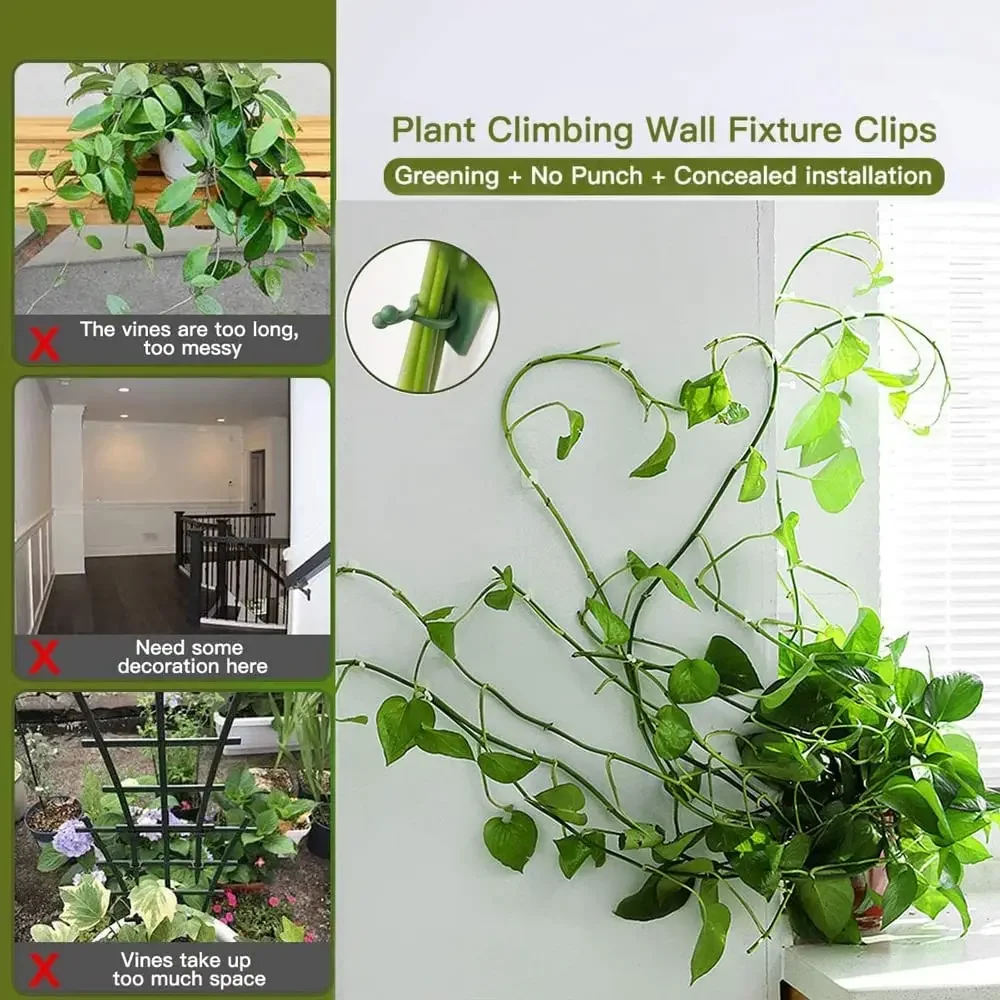 1/30/50 buah untuk pot taman & - Plant Parents ulasan dan harga