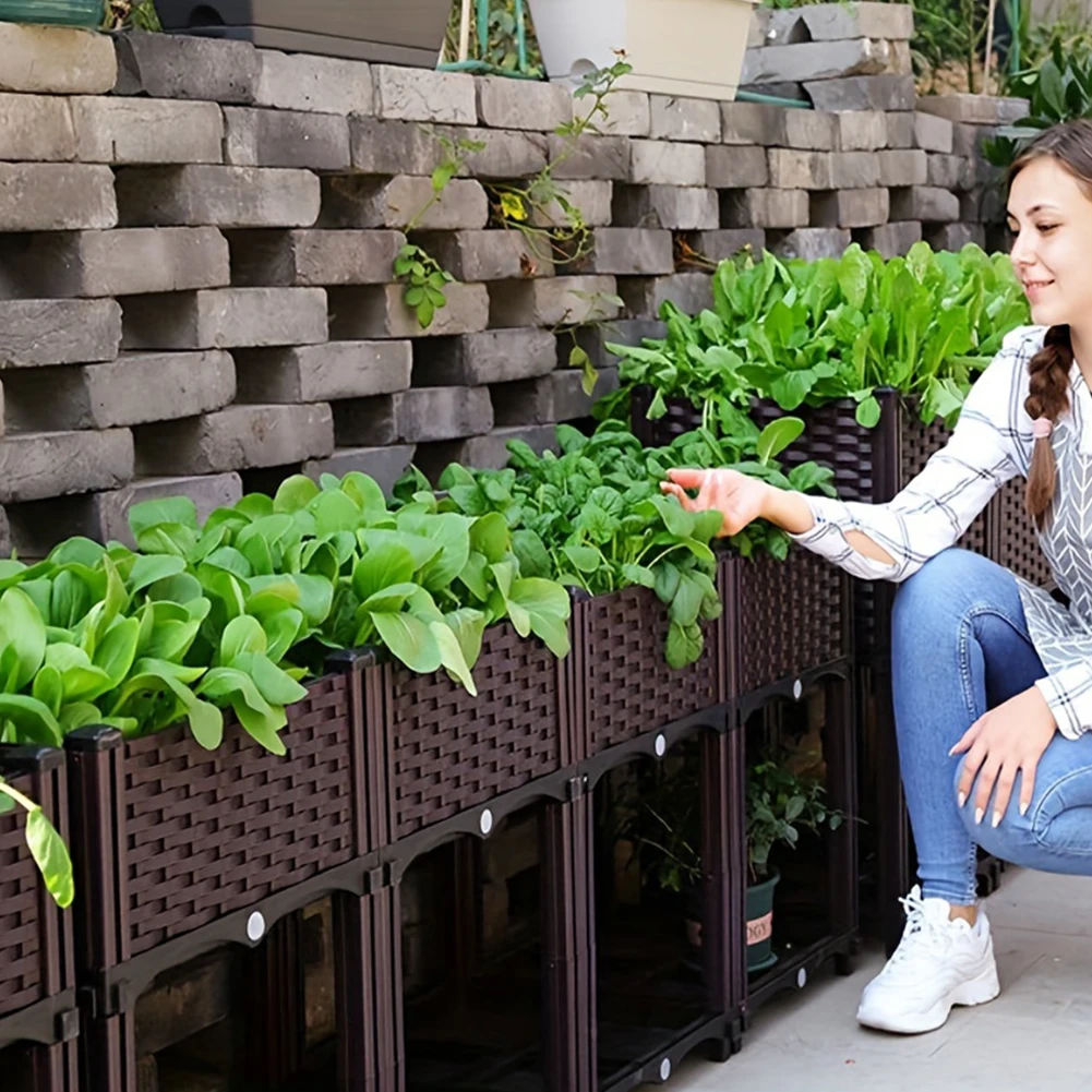 Kotak Penanaman Sayuran Tempat - Plant Parents ulasan dan harga